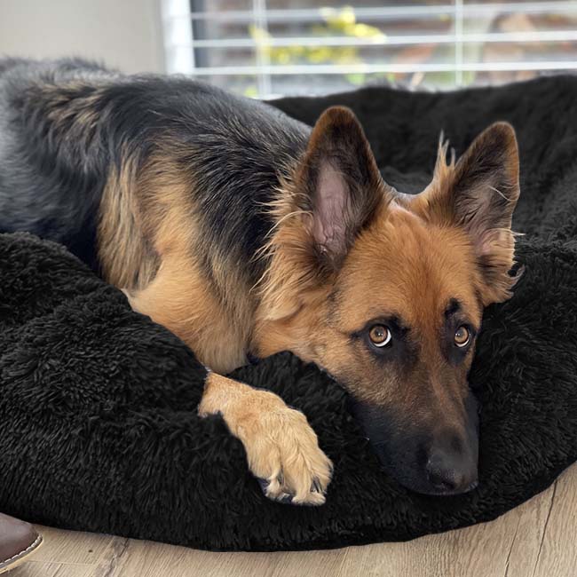 AUY™ Pet Deep Sleep Bed