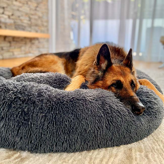 AUY™ Pet Deep Sleep Bed