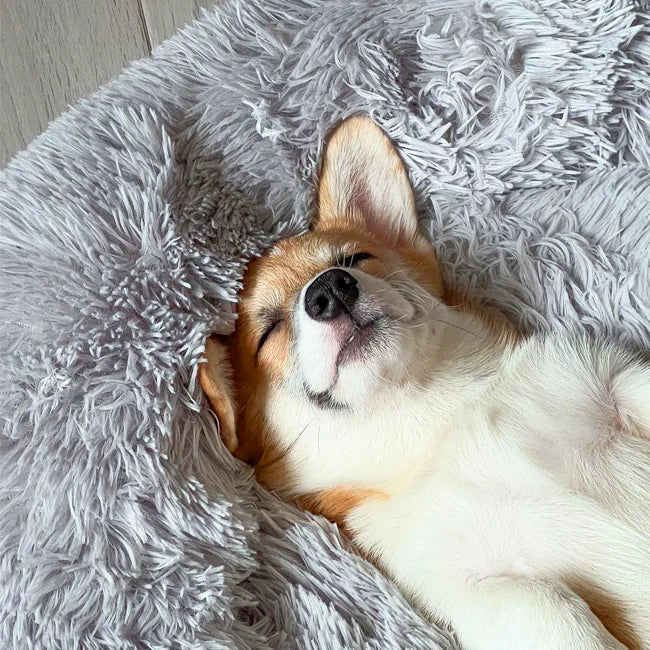 AUY™ Pet Deep Sleep Bed